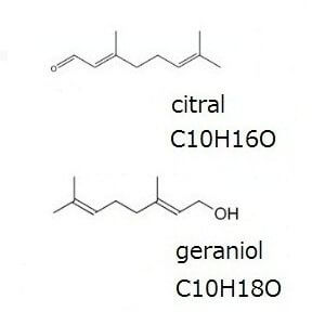 生姜成分の化学分子構造