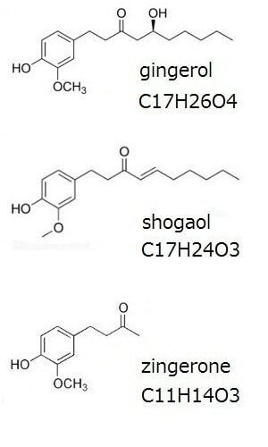 生姜成分の化学分子構造